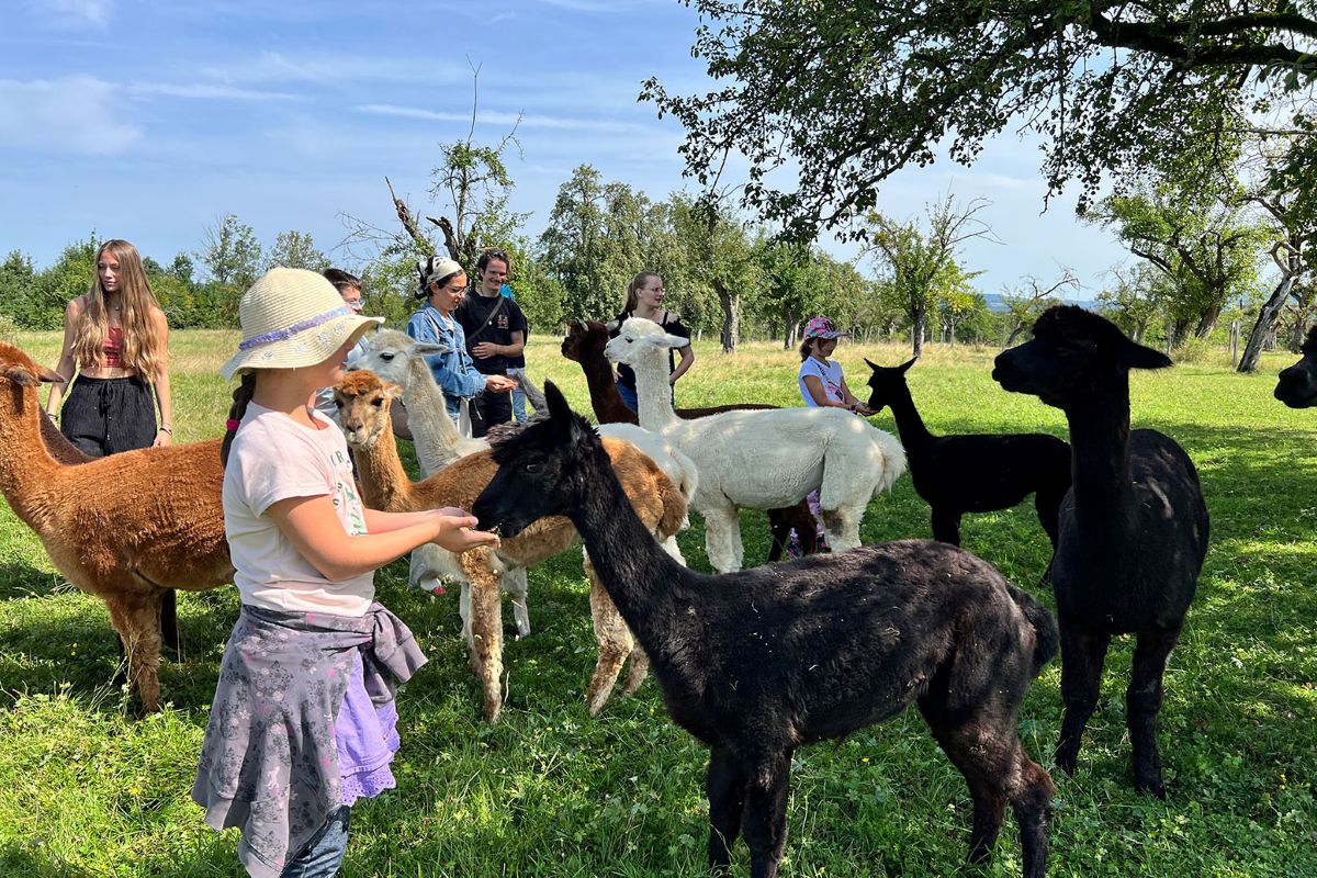 Tagesfreizeit für Kinder 2026